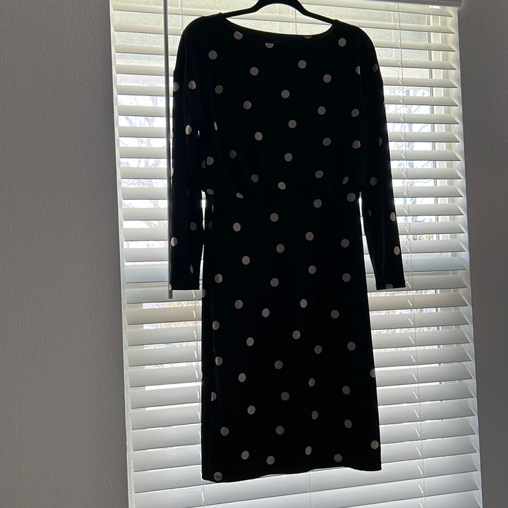Anne Taylor Factory Dress
